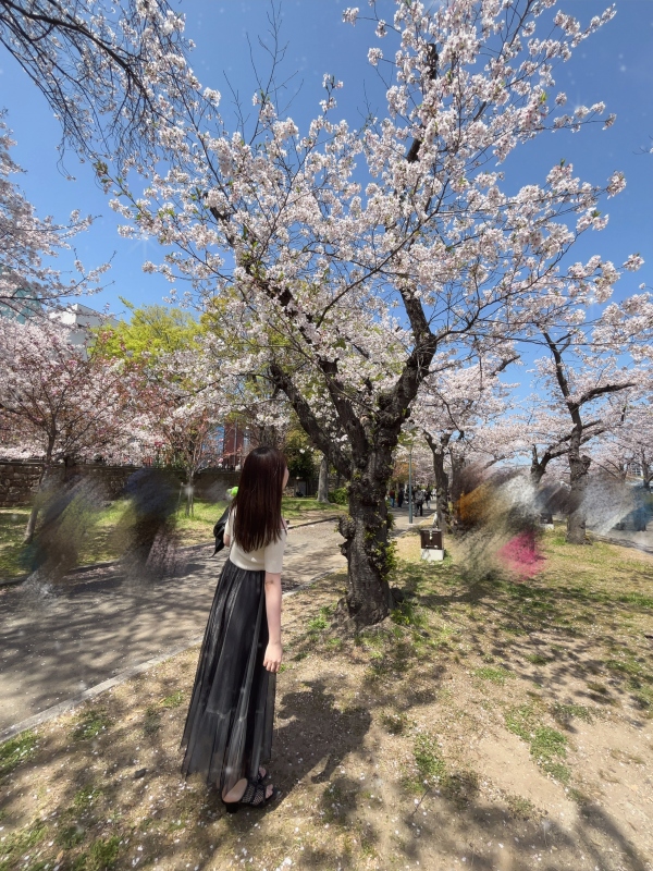 まみの写メ